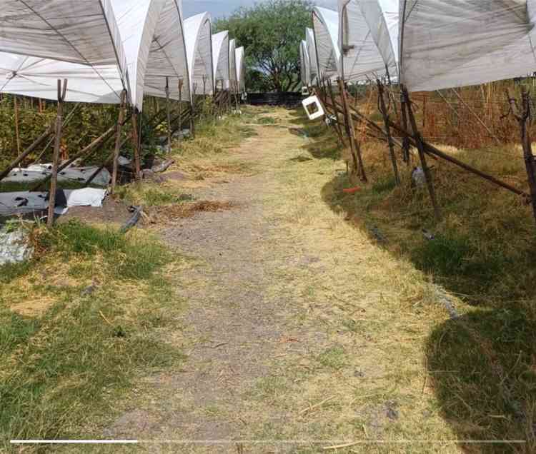 rancho en venta_en renta autovia mex 80 acatlan de juarez centro acatlan de juarez jalisco pAOiCgC