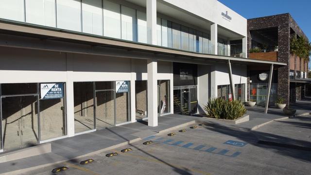 Foto de la galeria de imagenes